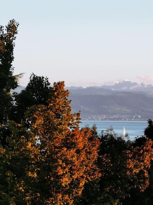 Wohnen Direkt Am Uferpark Mit Grossem Balkon Und Seeblick Фридрихсхафен Экстерьер фото