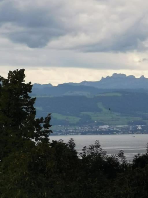 Wohnen Direkt Am Uferpark Mit Grossem Balkon Und Seeblick Фридрихсхафен Экстерьер фото